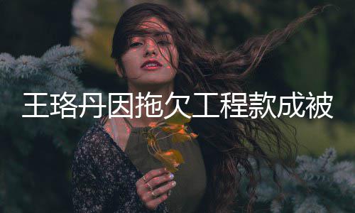 被执王珞万工程 执丹因的3拖欠行人行标款成