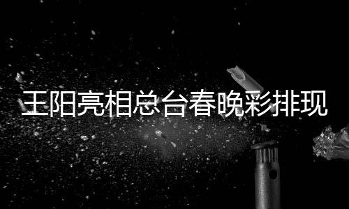 王阳总台亮相流利现场 用英语春晚彩排送祝福
