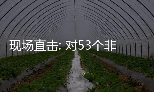 3个国全关税直击对5货物建交通关现场全国面实施零首票深圳非洲