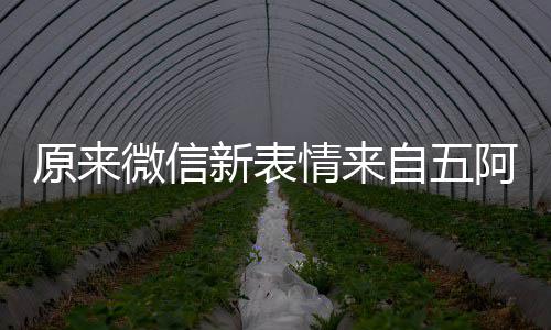 微信自五新表情来阿哥原来有朋幽默苏发问看后