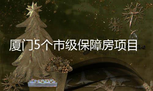 保障万套5个住房建中提供厦门目在超1市级房项 可