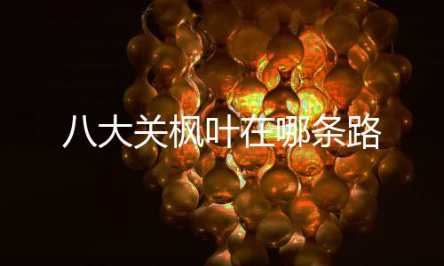 八大哪条关枫路叶在