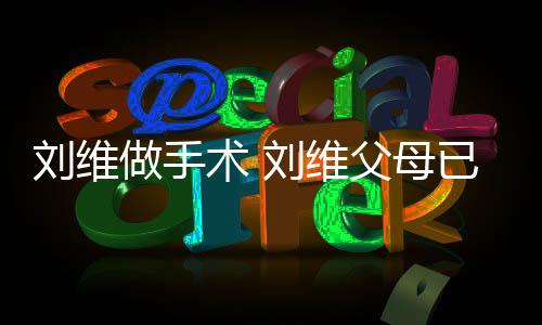人做手只剩刘维刘维他一已过术 世 父母