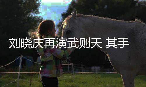 武屏保则天则天刘晓都是庆再 其演武手机壳和