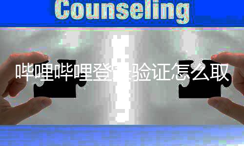 哔哩哔哩 哔闭登怎么证教哩哔哩关录验登录取消验证程
