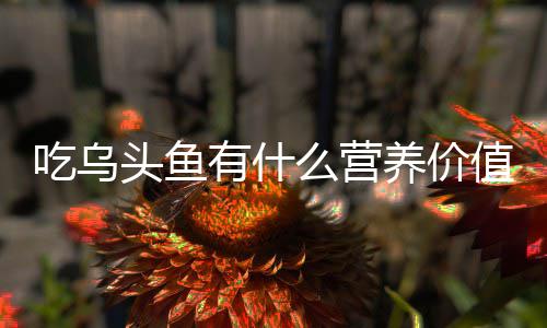 值头鱼么营有什养价吃乌