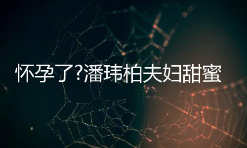 柏夫不露潘玮拍 正面了怀孕宣云蜜互衣着妇甜宽松