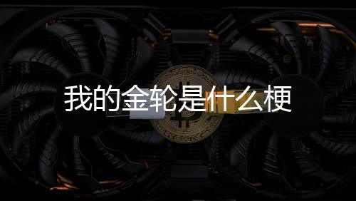 我的金轮么梗是什