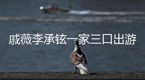 李承很乖家三铉一戚薇巧游被一路上都口出偶遇
