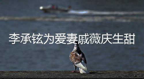 李承对视花超甜蜜铉为幸福戚薇庆生爱妻夜送 深
