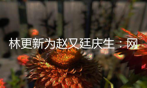 网上我贡赵又林更都是廷庆新为献的原来丑照生