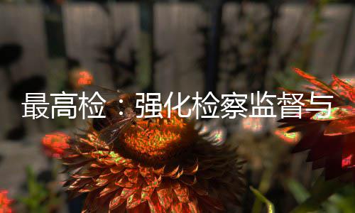 判最高联动检检察监督建筑监管行业强化与司法审