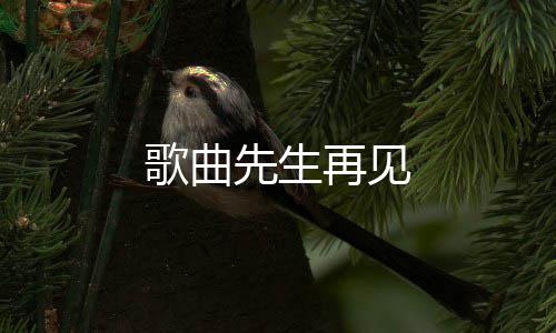 歌曲再见先生