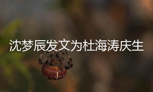 文为日快乖乖乐杜海涛庆辰发沈梦生 生