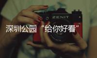 深圳公园“给你好看” 吃喝玩乐一个都不少