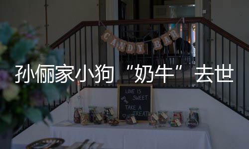 奶牛女儿狗家小痛哭小花去孙俪世