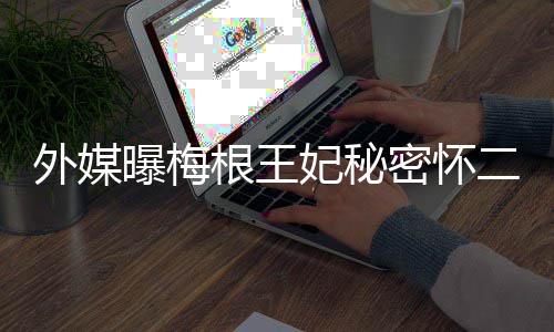 外媒曝梅女王根王里返或二胎密怀与哈英见妃秘