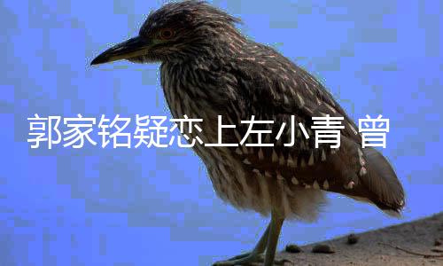 郭家左小曾被恋上郝蕾性取向青 铭疑方曝