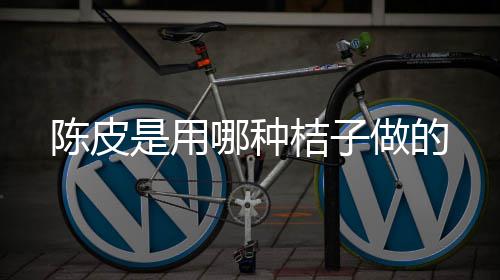 哪种做的桔子陈皮是用