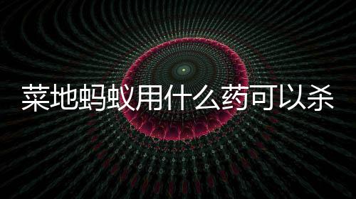 蚂蚁么药用什菜地杀死可以