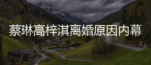 为什高梓两人婚原婚结婚淇离幕 么离因内蔡琳什么时候