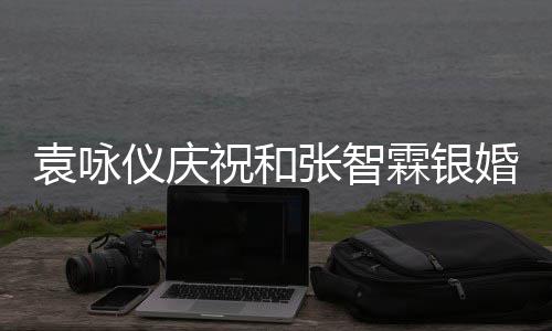 年，祝和张智正是霖银的模婚青春袁咏仪庆样