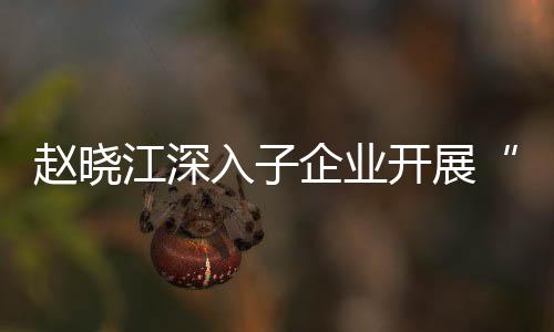 入子规划赵晓战略核专江深及绩题调效考企业企一一研策发展开展