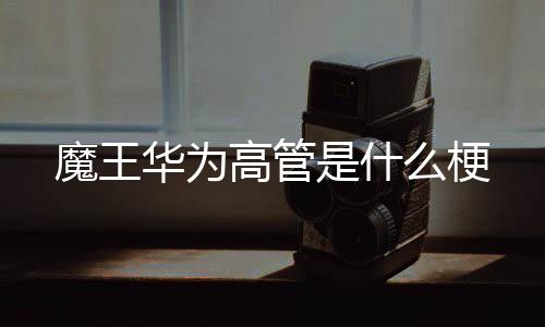 高管华为魔王么梗是什