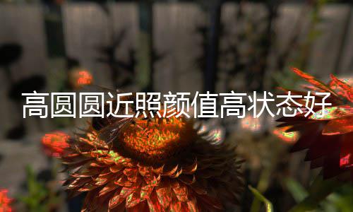 变丑未老女神高圆照颜值高状态打破好 圆近传闻