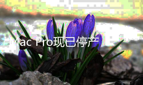 果桌舰o现面旗已停产 成苹