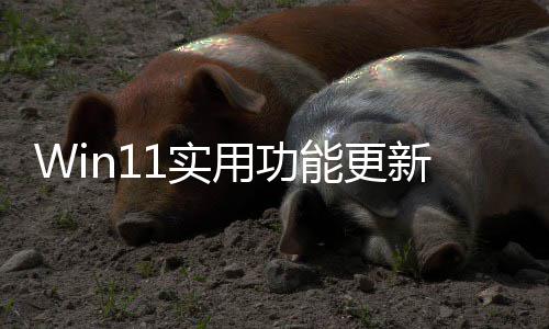 能更共享终于整音量独调新用功音频1实可单